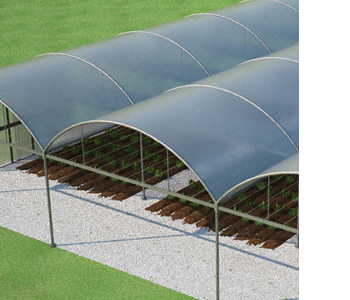 Greenhouses and Nurseries